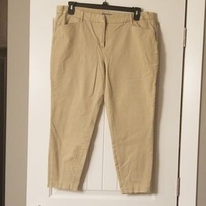Maurices stretchy capris